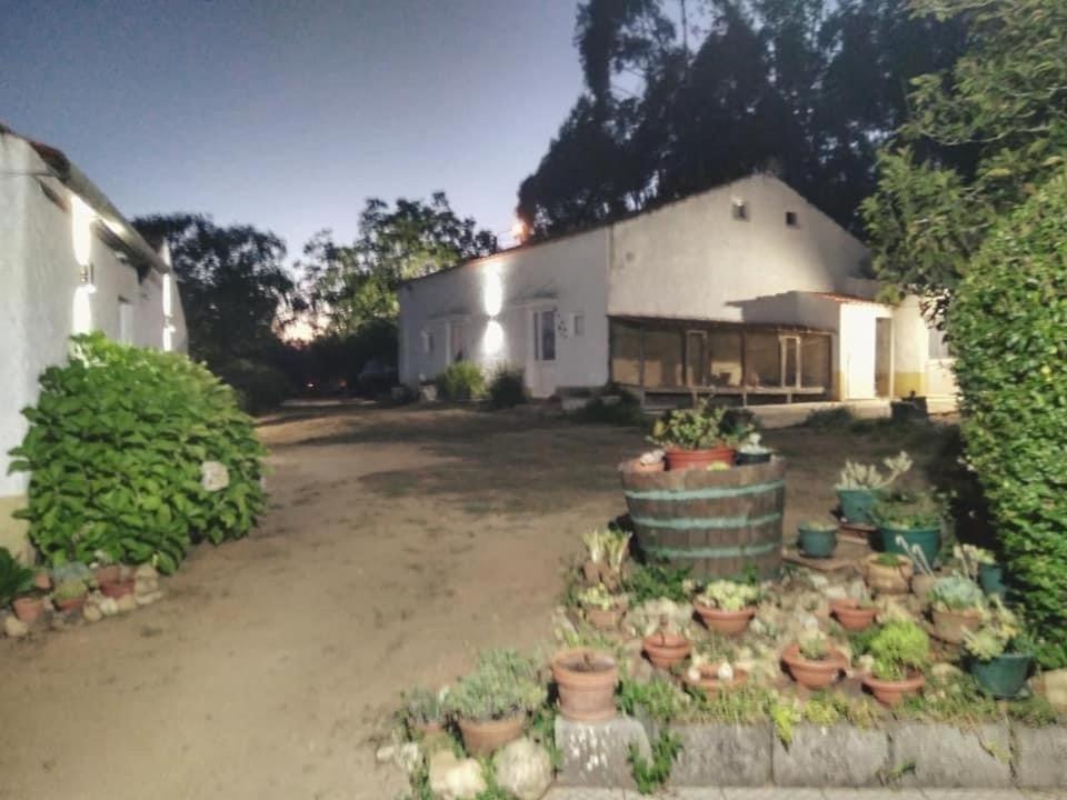 Вилла Quinta Da Mesa Macinhata do Vouga Экстерьер фото