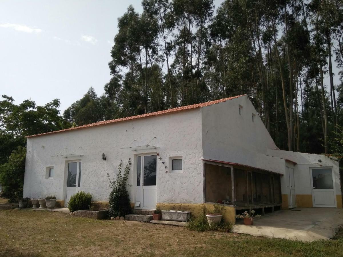 Вилла Quinta Da Mesa Macinhata do Vouga Экстерьер фото